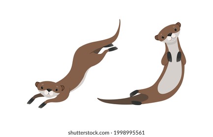 Set of Cute Weasel in Various Poses, Adorable Funny Wild Animal Cartoon Vector Illustration