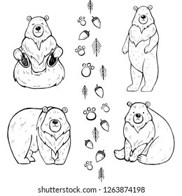Set of cute whimsical bears in different positions amd decorative pines, acorns, and paws om white isolated background. Hand drawn outlined vector illustration