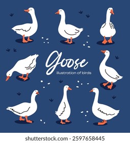 Set of cute white cartoon style geese. Vector goose illustration