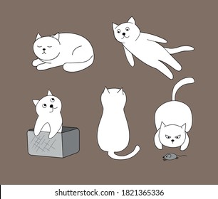 Set of cute white cats. Kittens hunt for a mouse, sleep, sit in a box, fly.