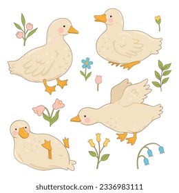 Set of cute white ducks isolated on white background. Vector graphics.