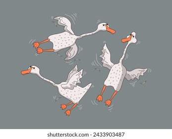 Establecer gansos blancos lindos. Pájaros de ganso divertidos en diferentes poses. Iconos de aves y plumas. Ilustración plana de dibujos animados del vector sobre fondo blanco aislado.
