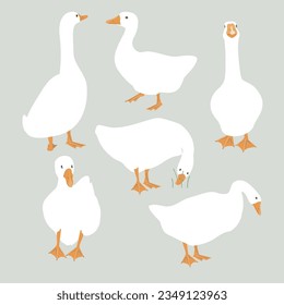 Set of cute white geese. Vector goose illustration