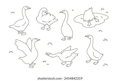 Set of cute white goose. Hand drawn vector illustration. Line art. Isolated objects on white background.