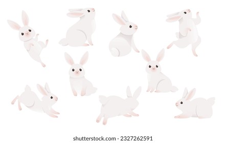 Set of cute white rabbit in different position cartoon animal design vector illustration isolated on white background