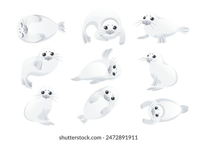 Set of cute white seal child mammal arctic animal cartoon animal design vector illustration isolated on white background