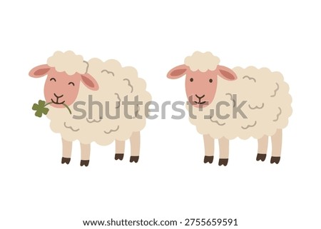 Set of cute white sheep eating clover and standing flat illustration scandinavian style