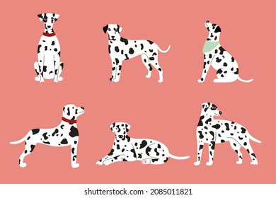 Set of cute white spotted Dalmatian dogs on a pink background. Vector flat illustration