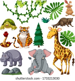 Set of cute wild animal and nature illustration