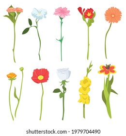 Set of cute wild field flowers. Cartoon vector illustration. Ten colorful blooming poppies, chamomiles, daisies, bells, buttercups. Flower, field, wild nature, botany concept for banner design