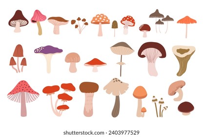 Set of cute wild mushroom vector illustration