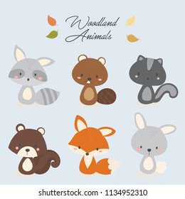 Set of cute woodland animal. Raccoon, beaver, skunk, squirrel, fox, rabbit.