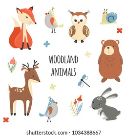 Set of cute woodland animals isolated on white background. Cartoon animals in bright colors for kids. 