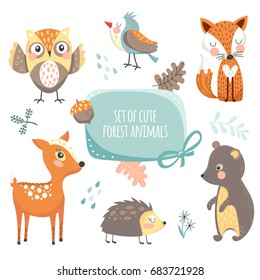 Set of cute woodland animals isolated on white background.