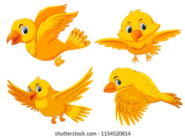 Set of cute yellow birds illustration