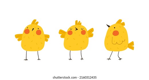 Un juego de pollos amarillos adorables. Pequeñas y graciosas chicas recién nacidas. Elementos para los diseños de Pascua. Ilustración vectorial de dibujos animados.