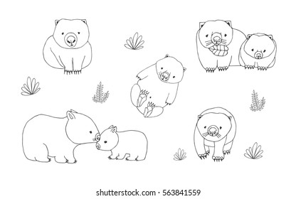 Set of cute young wombat in various poses. Adult animal with cub. Hand drawn contour vector illustration.