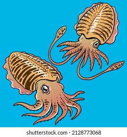 Set of cuttlefish for premium vector