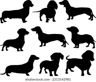 Juego de silueta de perro de Dachshund, animal salvaje