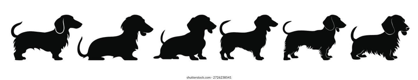 conjunto de dachshund cão silhuetas vetor coleção