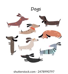 Set of Dachshund dogs, cute and funny characters, children's print. Vector illustration.