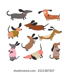 Conjunto de cães Dachshund, personagens fofos e engraçados, impressão infantil. Ilustração vetorial.