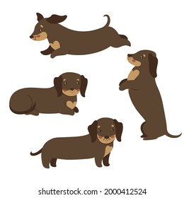 Set of dachshund dogs isolated on white background. Vector graphics.