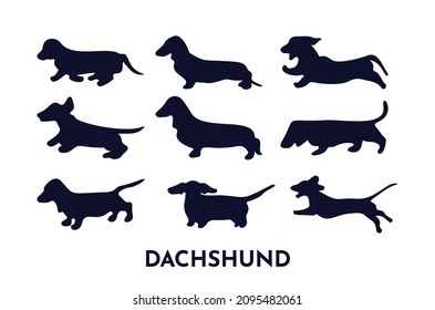 Set of dachshund silhouettes in different poses running, sitting, playing. Vector black illustration. As template for logo, pattern, graphic element for design. Domestic Animal