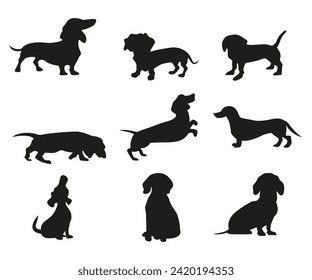 conjunto de siluetas de Dachshund, raza pequeña de perro enrollador en diferentes poses iconos vectoriales