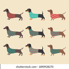 Set of dachshunds wearing colorful clothes. Vector illustration. 