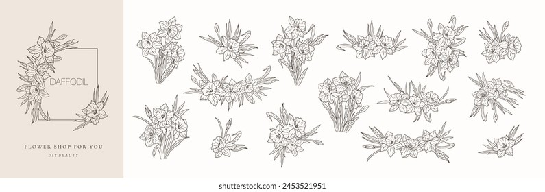 Set of daffodil flower bouquets line art isolated. Spring floral narcissus black logo wreath sketch plant. Vector illustration botanical stem, floral bloom