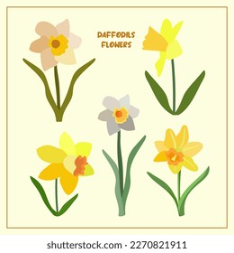 Set with daffodils flowers. Spring plants. Beige, gray, orange, green, yellow. For design of postcards, patterns, etc., notebooks.