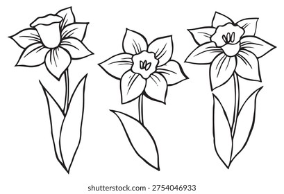 Set of daffodils flowers in vintage style. Vector doodle illustration.