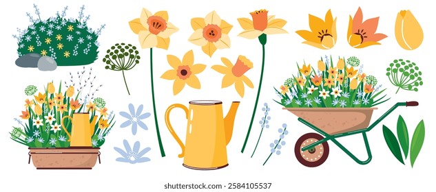 A set of daffodils and other spring flowers. Flowers, stems, leaves, bouquets of daffodils and others. Garden Narcissus flowers in a jug and on a wheelbarrow. Illustrated vector clipart.