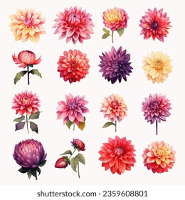 Set of Dahlia Flower Watercolor