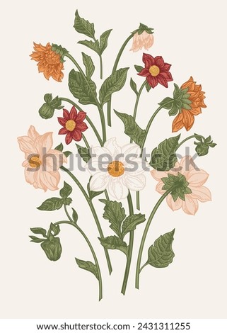Set with dahlia flowers. Vector botanical illustration. Summer and autumn plants. Colorful