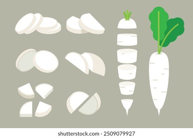 Conjunto de Daikon, Farm emblema produto rabanete branco fresco para mercearia, Slides, seções longas e transversais, e diferentes posições, ilustração vetor simples plana de legumes e frutas.