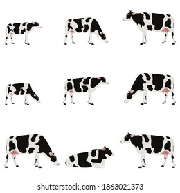 Set of dairy big and small cattle stand, eating grass, sit down and sleep, black and white cow isolated on white background. EPS.file