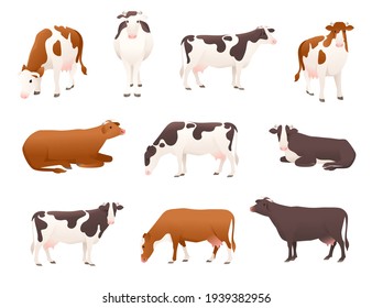 Set Of Dairy Cattle Simmental And Ayrshire Cow Spotted Domestic Mammal Animal Cartoon Design Vector Illustration On White Background