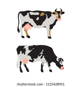 Set of dairy cows spotted in black, white, gray, gold and pink. Agriculture, farming, village life. Pet. Vector illustration.