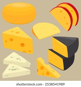 Set of dairy products, cheese sliced in pieces. Various types of cheese, blue cheese, emmental, gouda, cheddar, parmesan, brie or Swiss cheese. Vector illustration set