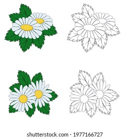 Set of daisies on a white background, isolated vector illustration