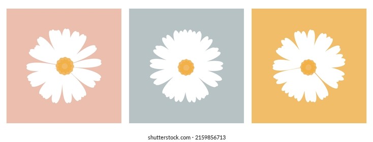 Set of daisies vector illustration. Flower wall decoration.  