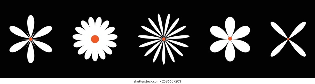 Set of daisy chamomile flower icon, flat style sweet and cute daisy flowers plant collection vector illustration.