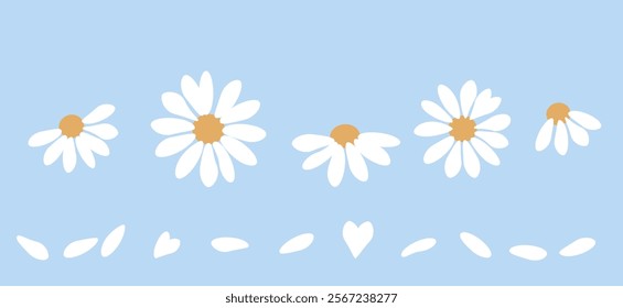 Set of daisy chamomile flower and white petal icon signs on blue background vector.