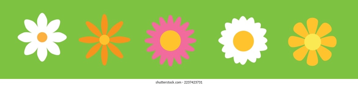 Conjunto de ilustración de camomila de margarita. Cuta colección realista de íconos de flores. Flor de pétalos de flores
