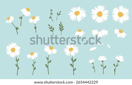 Set daisy flower, green branches and white petals icon sign on green background vector.