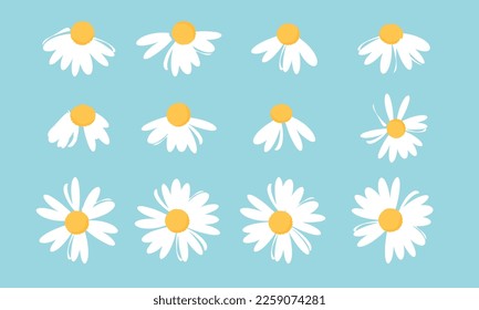 Set of daisy flower icon sign on blue mint background vector illustration. Cute floral print.