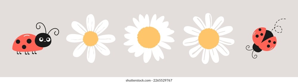 Set of daisy flower and lady bug on grey background vector illustration. Cute childish print.