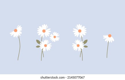 Set of daisy flower on blue background vector illustration. Cute floral logo design.